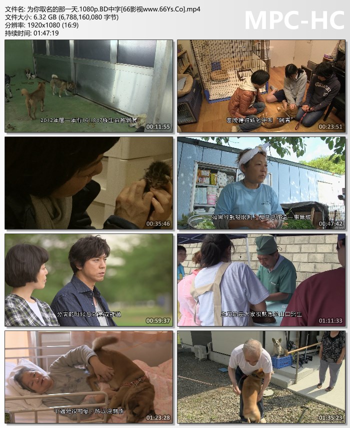 2015年日本剧情片《为你取名的那一天》1080P日语中字
