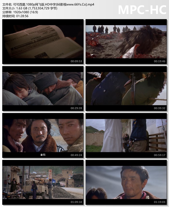 2004年多布杰,赵雪萤8.8分剧情片《可可西里》1080P国语中字
