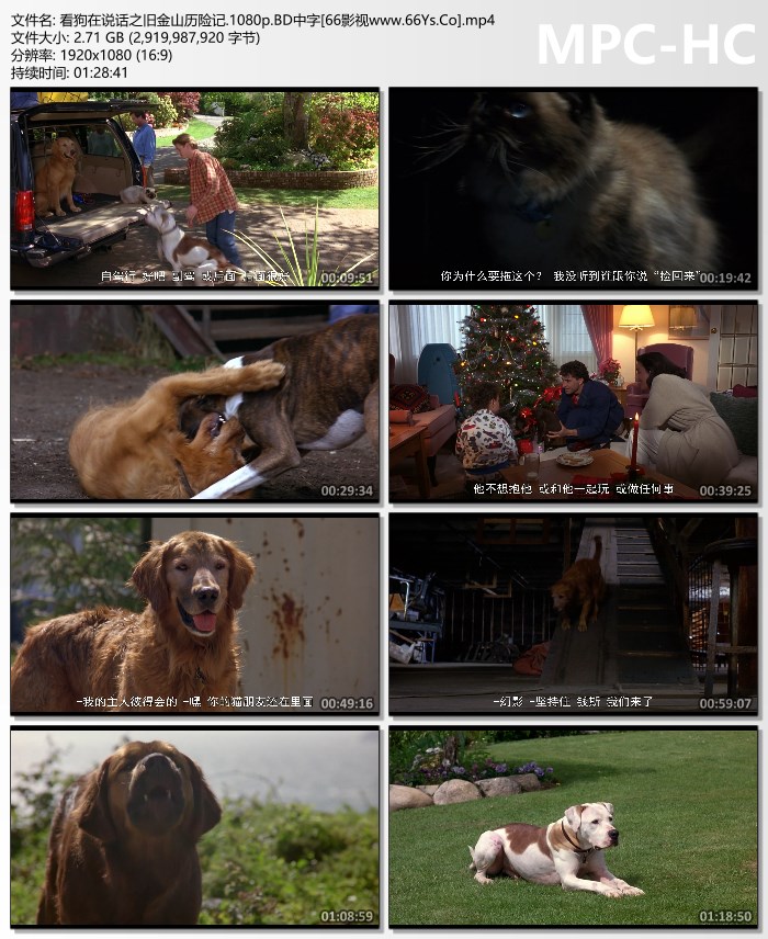 1996年美国8.2分儿童喜剧片《看狗在说话之旧金山历险记》1080P英语中字