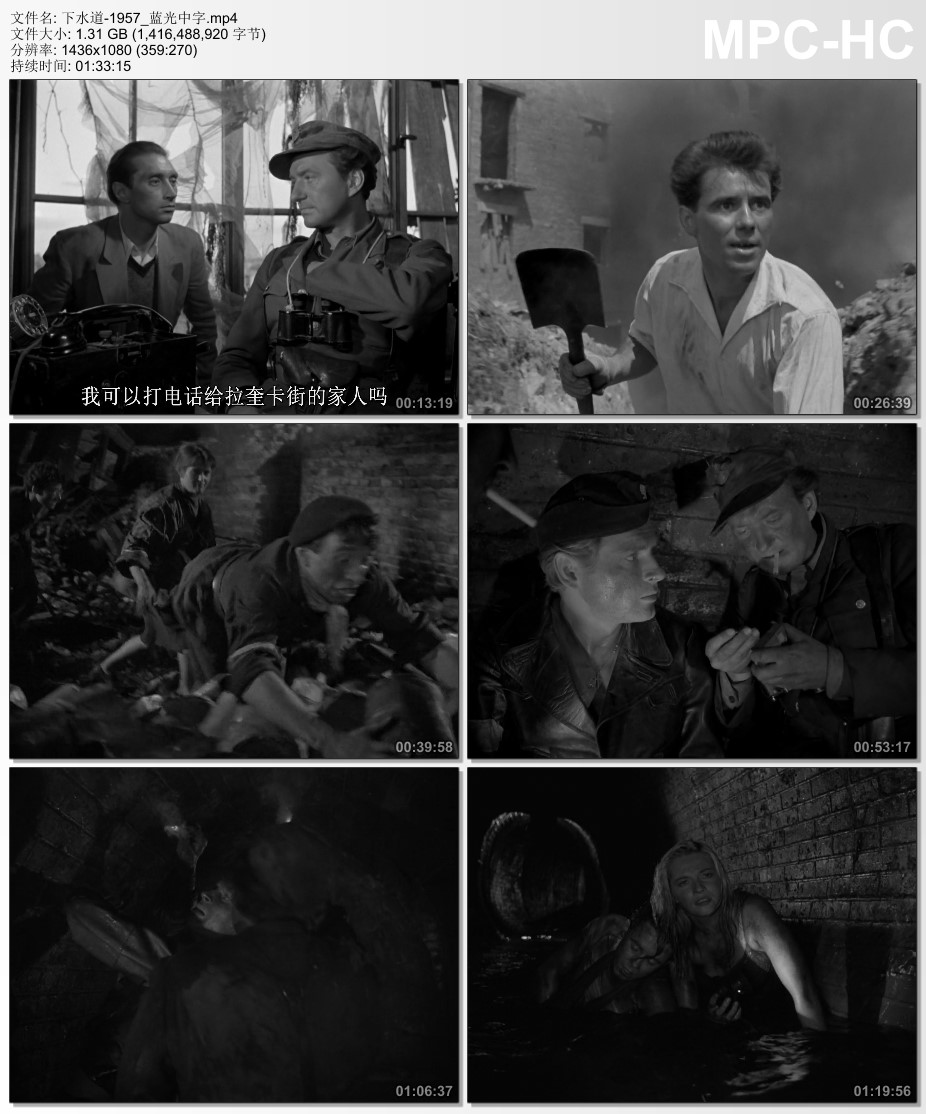 1957年波兰8.5分战争片《下水道》蓝光中字
