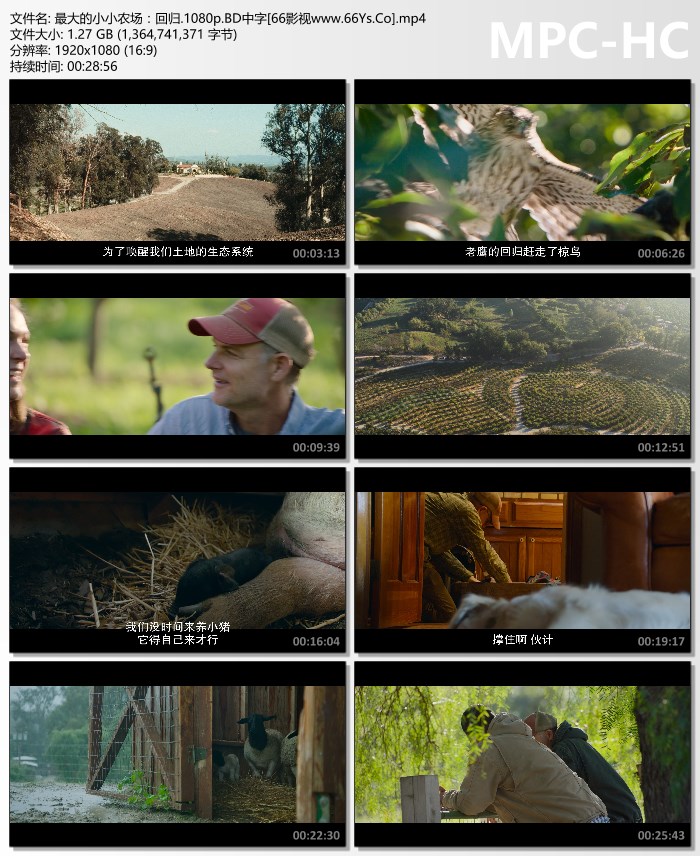 2022年美国纪录片《最大的小小农场：回归》1080P英语中字