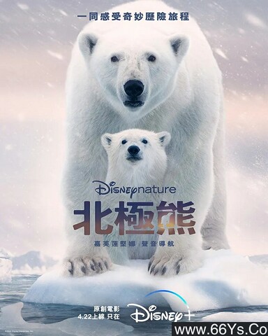 2022年美国纪录片《北极熊》1080P英语中英双字