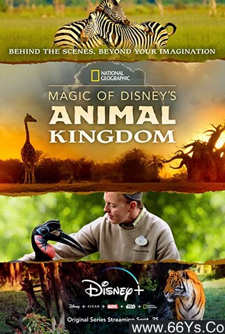 2020年美国纪录片《迪士尼动物王国》1080P英语中字