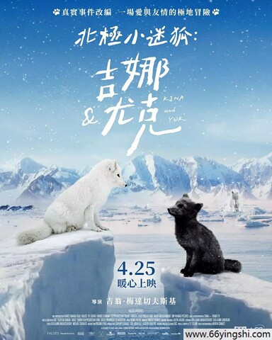 2023年法国纪录片《北极小迷狐吉娜&尤克》1080P中字